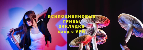 хмурый Алексеевка