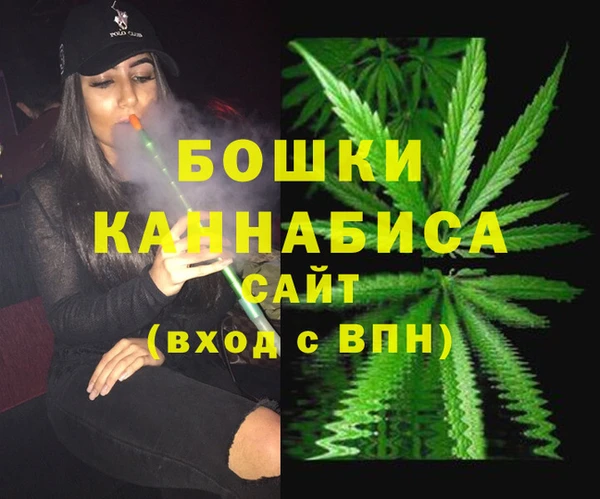 шишки Алзамай