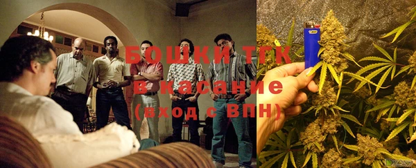 шишки Алзамай
