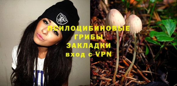 шишки Алзамай