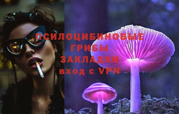 шишки Алзамай