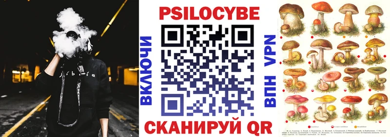 Галлюциногенные грибы Psilocybine cubensis Зверево